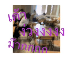 786951892