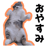 786953768