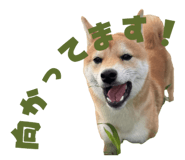 786960209