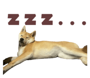 786960212