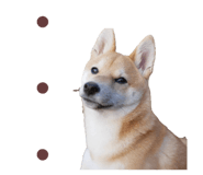 786960214