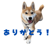 786960222