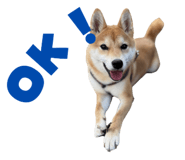 786960224