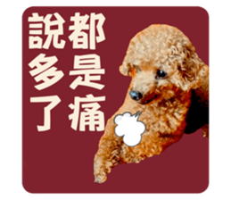 786966387