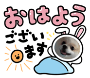 786970667