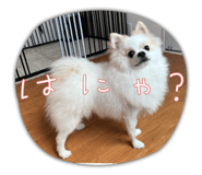 786970674