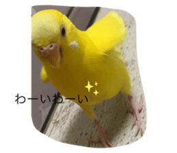 786980115