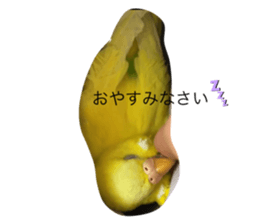 786980116