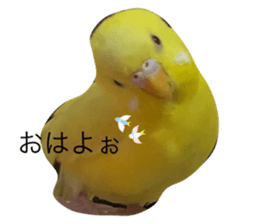786980120