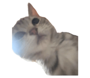 786982382