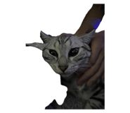 786982383