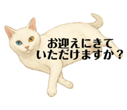 786985119
