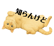 786985120
