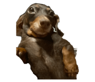 786995714