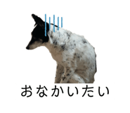 787014276