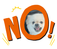 787042586