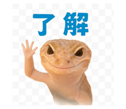 787043017