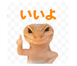 787043019