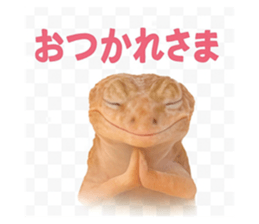 787043020