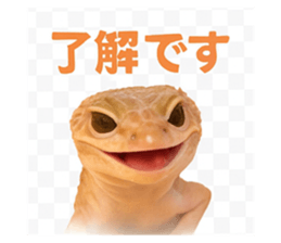 787043022