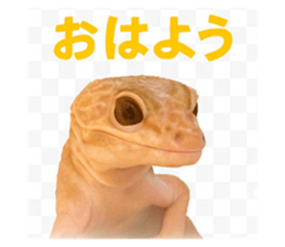787043023