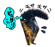 787075048