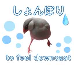 787081120