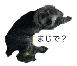 787083555