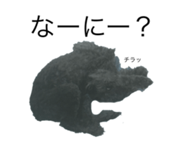 787083558