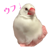 787099770