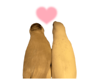 787099773