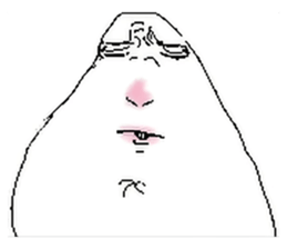 ลายที่ 29