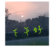 787137041