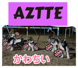 787137746