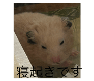 787146573