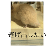787146575