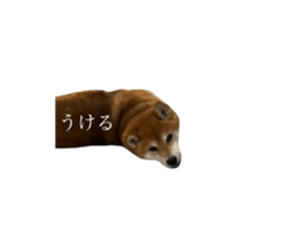 787187847