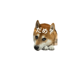 787187849