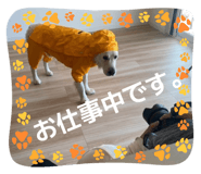 787199277