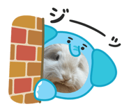 787246025