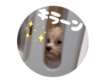 787250387