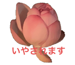 787253988