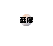 787290170