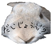 787295694