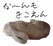 787295696