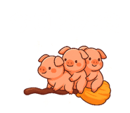 787300676