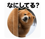 787314120