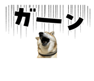 787316961