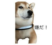 787316964