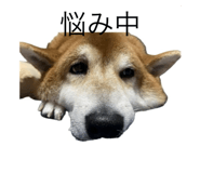787316965